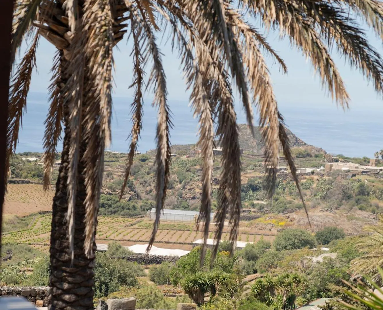 Dammusi Uliveto Villa Scauri  0*, Scauri (Sicily)